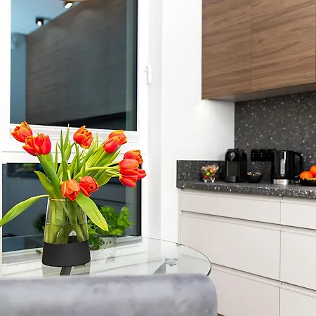 Baltica Marina Apartment *